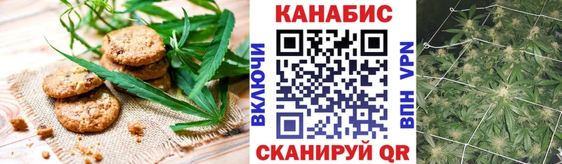 продажа наркотиков  Алатырь  Еда ТГК конопля 