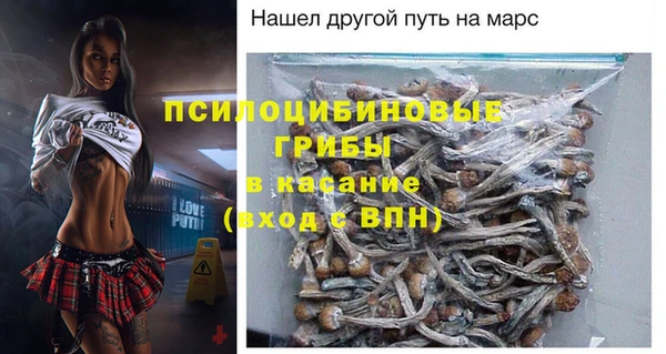 ГАЛЛЮЦИНОГЕННЫЕ ГРИБЫ Абаза