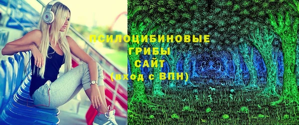 ГАЛЛЮЦИНОГЕННЫЕ ГРИБЫ Абаза