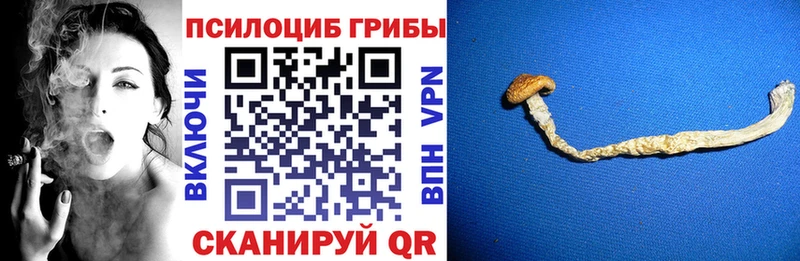 МЕГА зеркало  Алатырь  Галлюциногенные грибы MAGIC MUSHROOMS 
