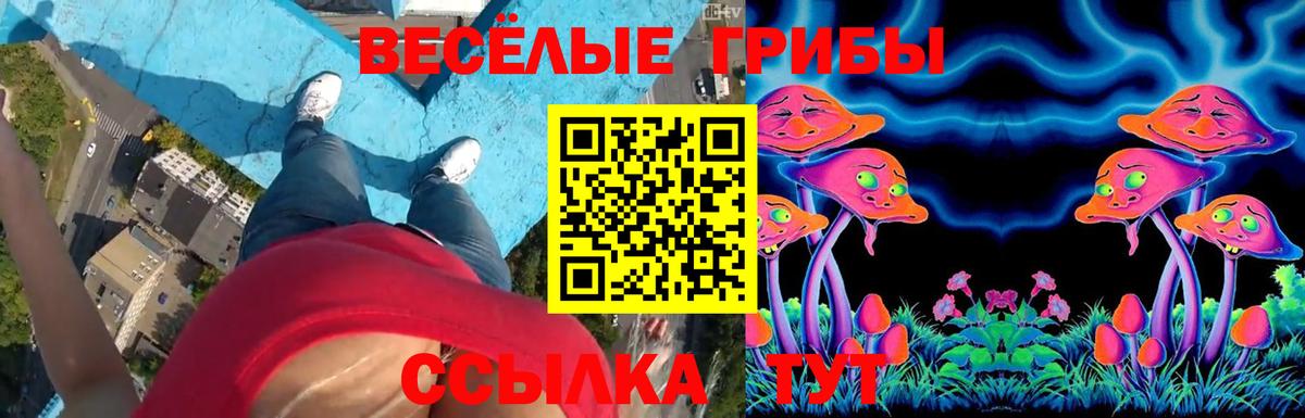 Алатырь  Галлюциногенные грибы GOLDEN TEACHER  даркнет сайт  Псилоцибиновые грибы Cubensis  Вход с VPN 